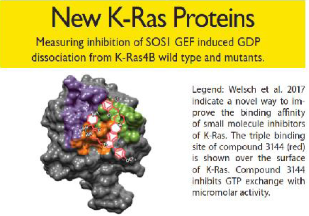 New K-Ras proteins-