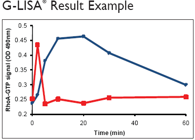 用CN01（蓝色Activators）和LPA（红色）处理后RhoA的活化进程